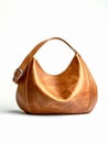 Brown leather female handbag.